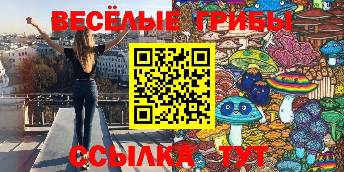 Щёлково  Галлюциногенные грибы мухоморы  Вход с VPN 